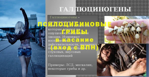 МДПВ Каменка