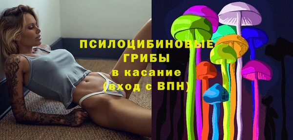 PSILOCYBIN Каменск-Шахтинский
