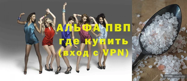 МДПВ Каменка